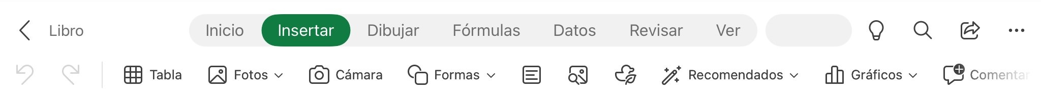 Pantallazo del menú de Insertar de Excel para iPad